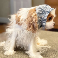 Load image into Gallery viewer, The Darcy Dog Snood
