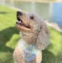 Load image into Gallery viewer, 'Wildflower' Dog Bandana with Trim