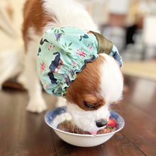 Load image into Gallery viewer, The 'Cavalier Love' Dog Snood