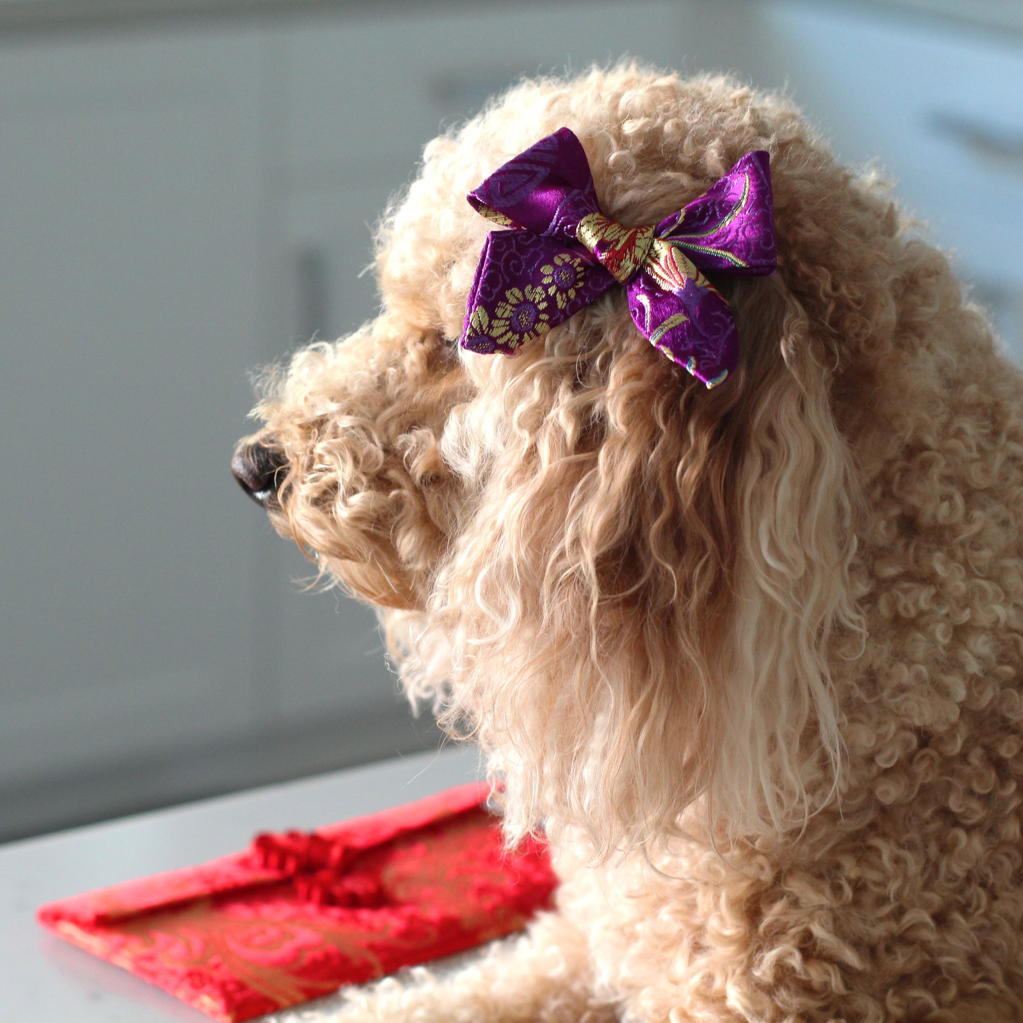 The Purple Royal Chrysanthemums Hair Bow 100% Brocade Custom Dog
