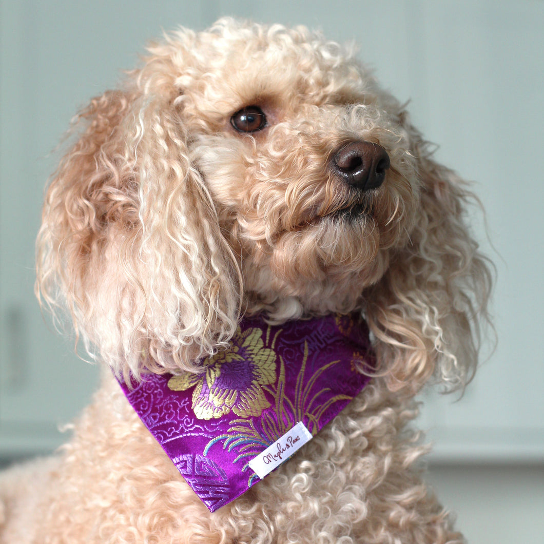 The Purple Royal Chrysanthemums Dog Bandana