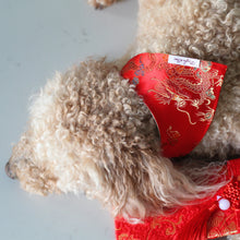 Load image into Gallery viewer, The Red Dragon Dog Bandana
