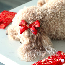 Load image into Gallery viewer, The Red Dragon Dog Hair Bow
