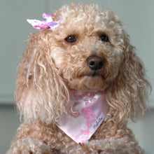 Load image into Gallery viewer, The Pink Royal Chrysanthemums Dog Bandana
