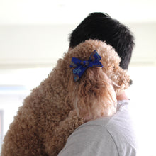 Load image into Gallery viewer, The Blue Dragon Dog Hair Bow
