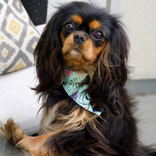 Load image into Gallery viewer, The &#39;Cavalier Love&#39; Dog Bandana
