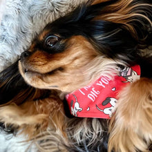 Load image into Gallery viewer, The &#39;I Really Dig You&#39; Dog Bandana
