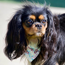 Load image into Gallery viewer, The &#39;Love in Bloom&#39; Dog Bandana
