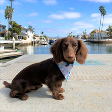 Load image into Gallery viewer, The Everest Dog Bandana
