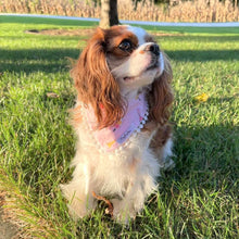 Load image into Gallery viewer, The Sweet Treats Dog Bandana
