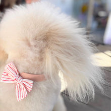 Load image into Gallery viewer, The &#39;Love Notes&#39; Dog Hair Bow
