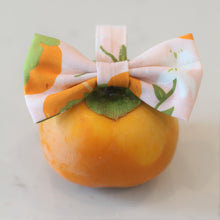 Load image into Gallery viewer, The Persimmon Season Dog Bowtie
