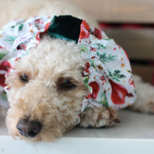 Load image into Gallery viewer, The Poms &amp; Pines Dog Snood

