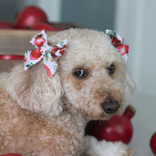 Load image into Gallery viewer, The Poms &amp; Pines Dog Hair Bow
