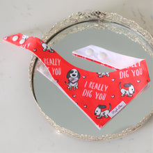 Load image into Gallery viewer, The &#39;I Really Dig You&#39; Dog Bandana
