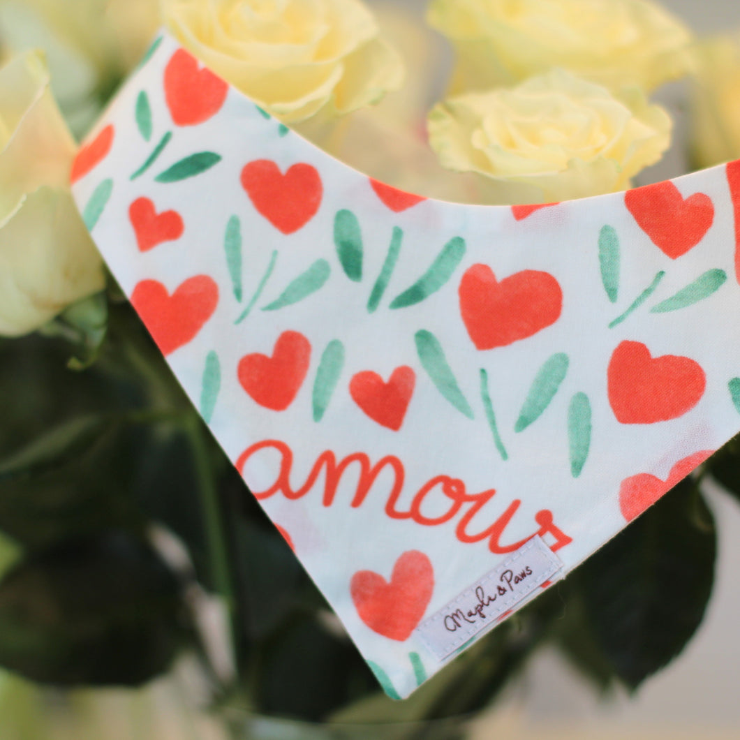 The 'Amour' Dog Bandana