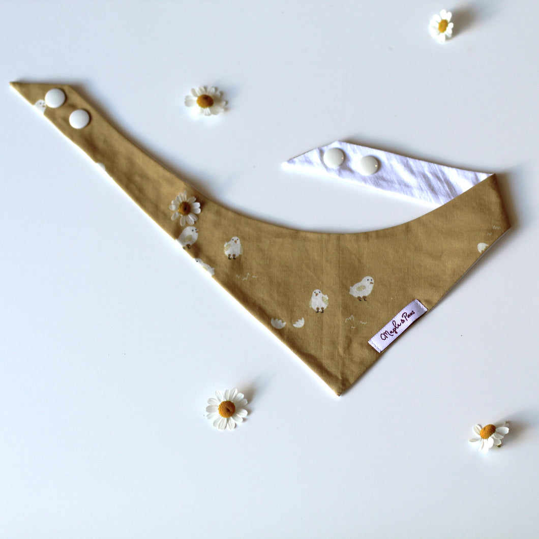 'Sweet Chicks' Dog Bandana