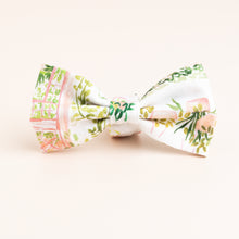 Load image into Gallery viewer, The Eloise Dog Accessories Set
