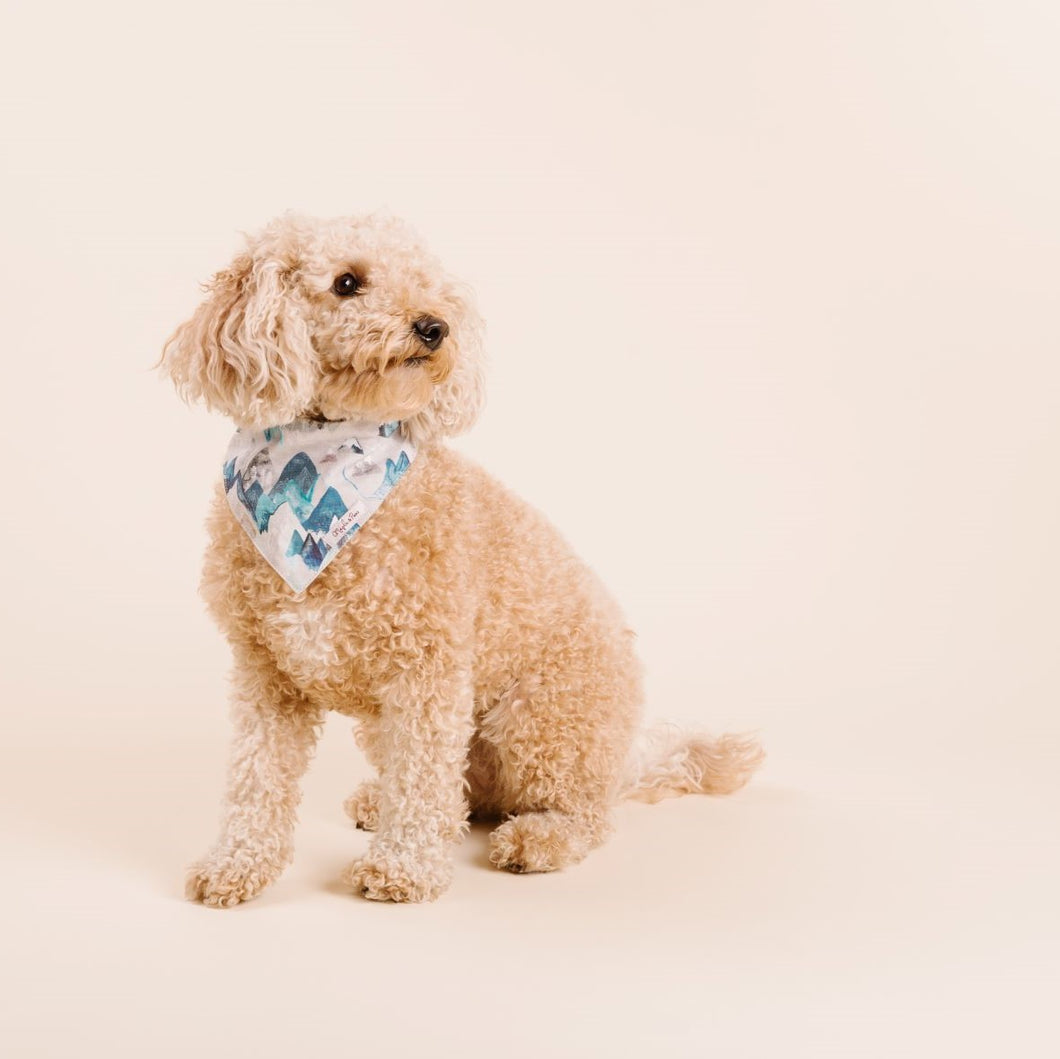 The Everest Dog Bandana