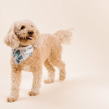 Load image into Gallery viewer, The Everest Dog Bandana
