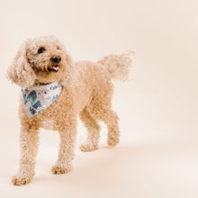 Load image into Gallery viewer, The Everest Dog Bandana
