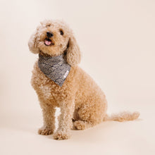 Load image into Gallery viewer, The Pacific Dog Bandana
