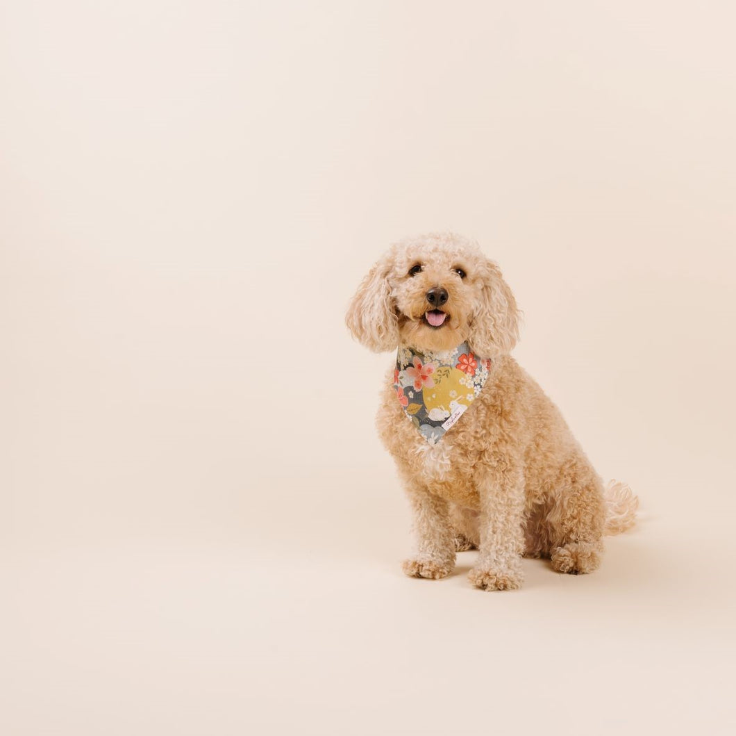 The Sakura Dog Bandana