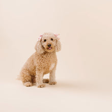 Load image into Gallery viewer, The Sweet Treats Dog Hair Bow
