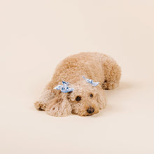 Load image into Gallery viewer, The Porcelain Dog Accessories Set
