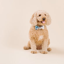 Load image into Gallery viewer, The Everest Dog Bowtie
