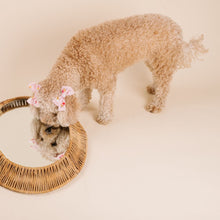 Load image into Gallery viewer, The Sweet Treats Dog Hair Bow
