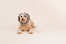 Load image into Gallery viewer, The Pacific Dog Snood
