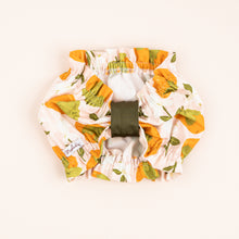 Load image into Gallery viewer, The Persimmon Season Dog Snood
