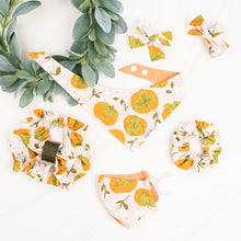 Load image into Gallery viewer, The Persimmon Season Dog Bowtie
