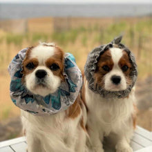 Load image into Gallery viewer, The Everest Dog Snood
