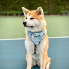 Load image into Gallery viewer, The Darcy Dog Bandana
