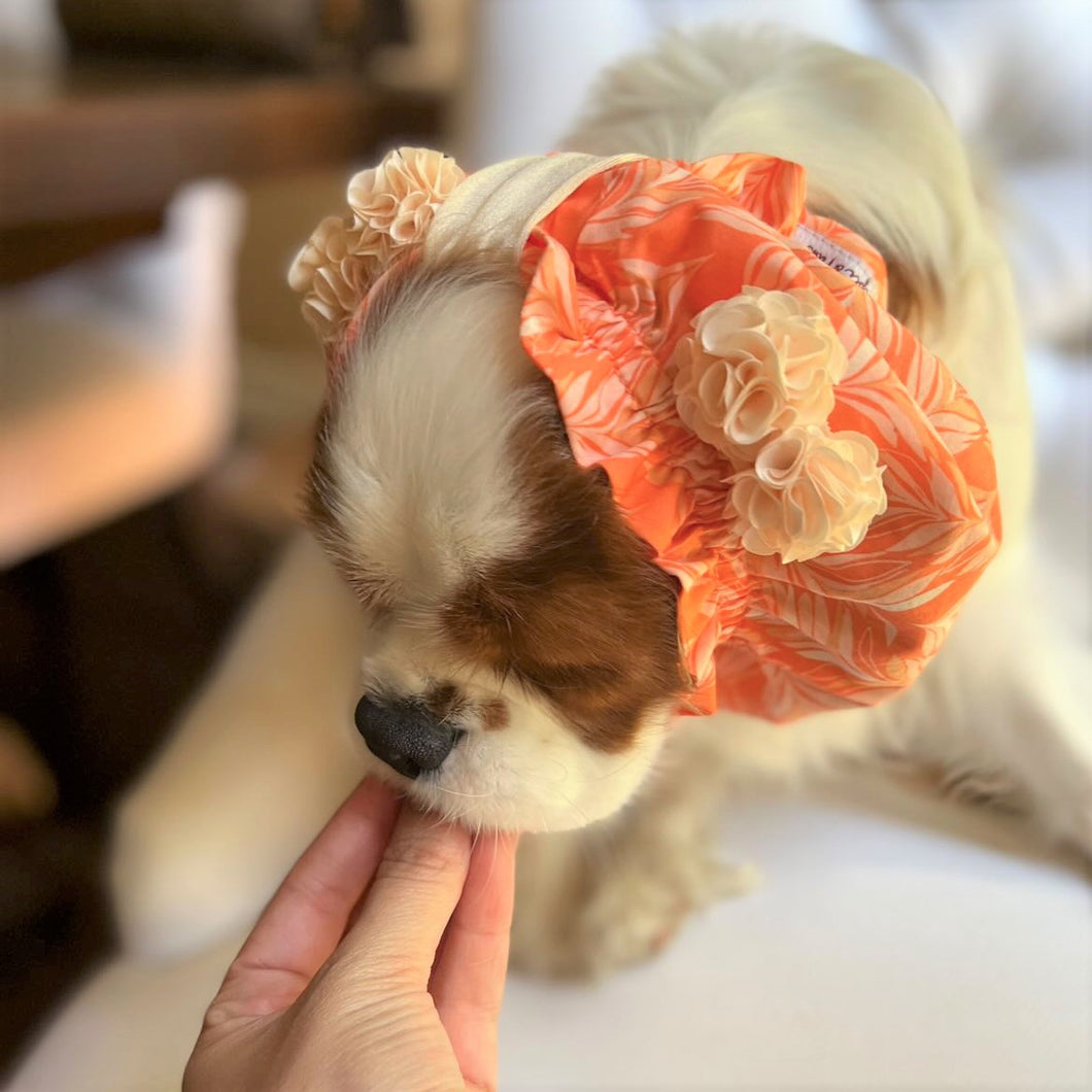 'Orange You Sweet' Dog Snood