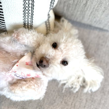 Load image into Gallery viewer, The &#39;Hello my Love&#39; Dog Bandana
