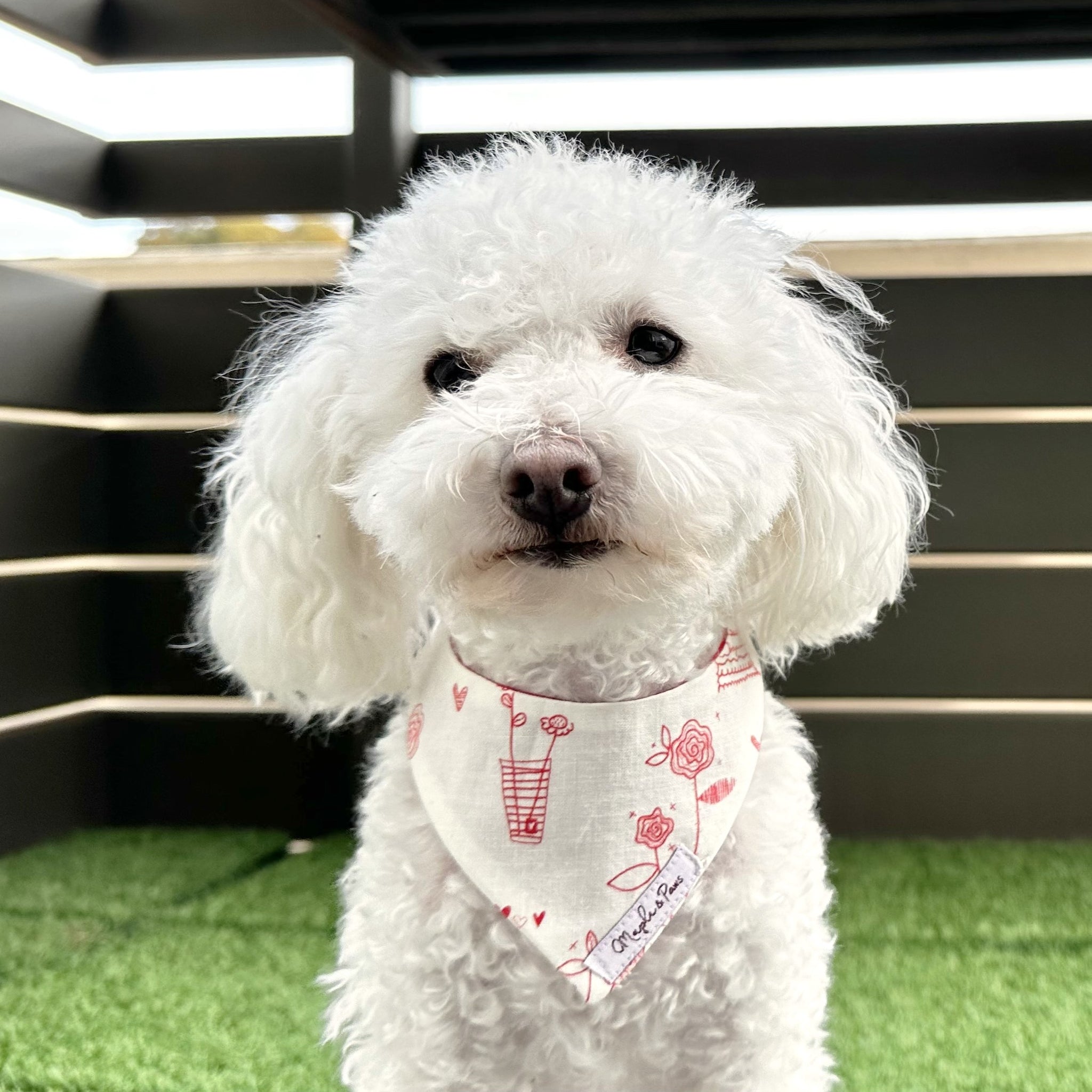 Puppy Paws Dog Bandana. Handcrafted Dog Accessories. Unique 