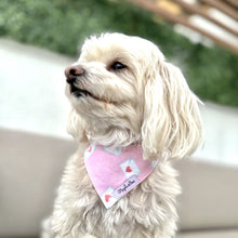 Load image into Gallery viewer, The &#39;Sealed with Love&#39; Dog Bandana
