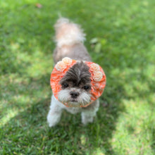 Load image into Gallery viewer, &#39;Orange You Sweet&#39; Dog Snood
