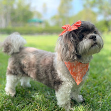 Load image into Gallery viewer, &#39;Orange You Sweet&#39; Dog Hair Bow
