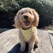 Load image into Gallery viewer, The Sweet Pea Dog Bandana
