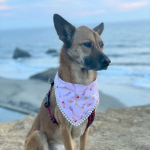 Load image into Gallery viewer, The Sweet Treats Dog Bandana
