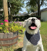 Load image into Gallery viewer, The Orion Dog Bandana
