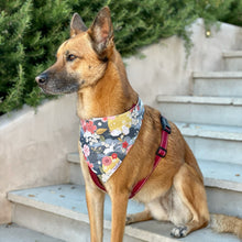 Load image into Gallery viewer, The Sakura Dog Bandana
