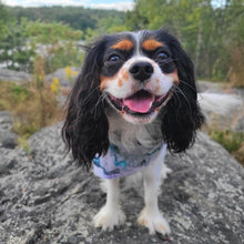 Load image into Gallery viewer, The Everest Dog Bandana
